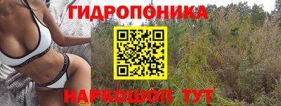 ALPHA PVP Будённовск