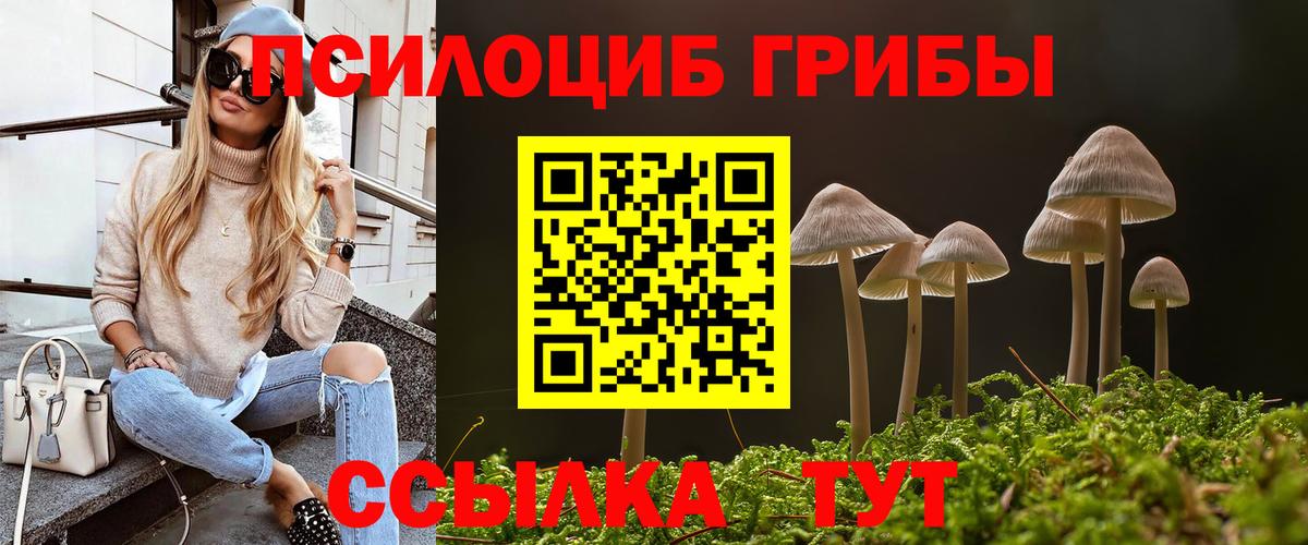 Псилоцибиновые грибы прущие грибы  купить наркотик  Нарткала  Вход с VPN  Псилоцибиновые грибы Psilocybine cubensis 